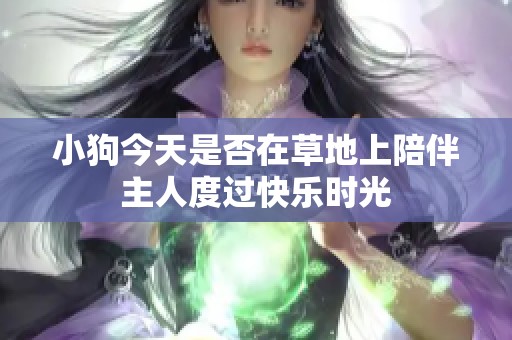 小狗今天是否在草地上陪伴主人度过快乐时光