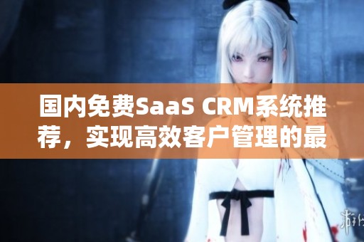 国内免费SaaS CRM系统推荐，实现高效客户管理的最佳选择