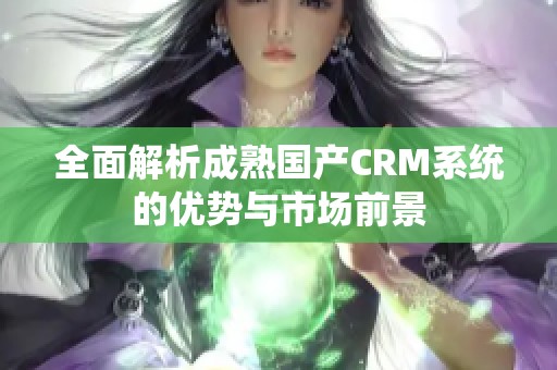 全面解析成熟国产CRM系统的优势与市场前景