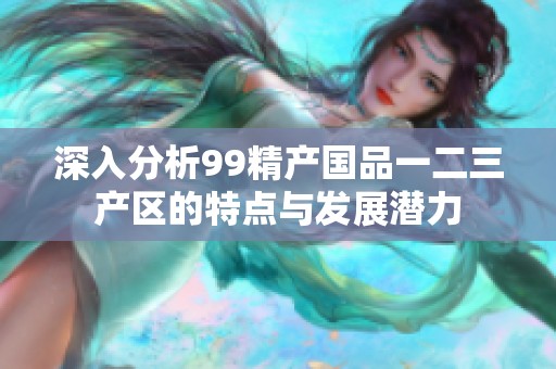 深入分析99精产国品一二三产区的特点与发展潜力