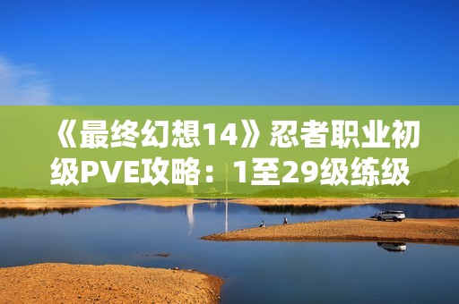 《最终幻想14》忍者职业初级PVE攻略：1至29级练级全解析