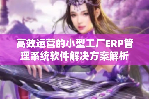 高效运营的小型工厂ERP管理系统软件解决方案解析