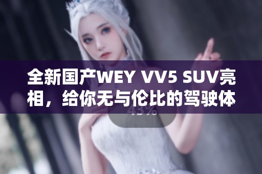 全新国产WEY VV5 SUV亮相，给你无与伦比的驾驶体验