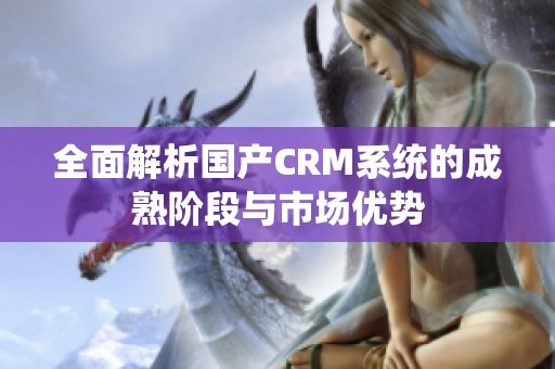 全面解析国产CRM系统的成熟阶段与市场优势