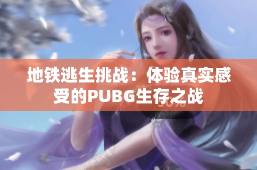 地铁逃生挑战：体验真实感受的PUBG生存之战