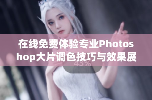 在线免费体验专业Photoshop大片调色技巧与效果展示