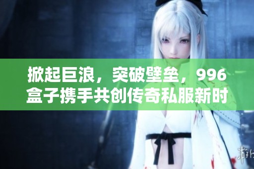 掀起巨浪，突破壁垒，996盒子携手共创传奇私服新时代