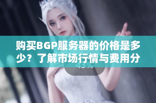 购买BGP服务器的价格是多少？了解市场行情与费用分析