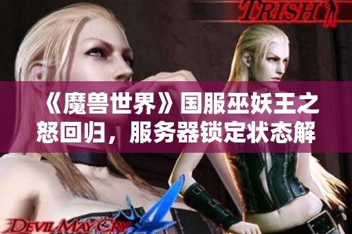 《魔兽世界》国服巫妖王之怒回归，服务器锁定状态解析与玩家期待