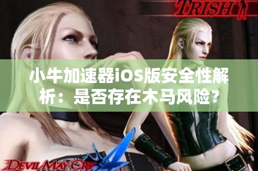 小牛加速器iOS版安全性解析：是否存在木马风险？