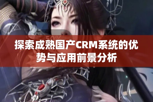 探索成熟国产CRM系统的优势与应用前景分析