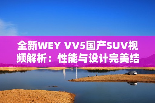 全新WEY VV5国产SUV视频解析：性能与设计完美结合