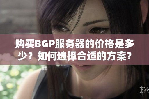 购买BGP服务器的价格是多少？如何选择合适的方案？