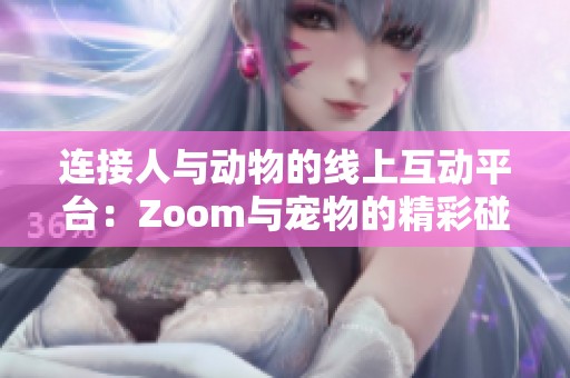 连接人与动物的线上互动平台：Zoom与宠物的精彩碰撞